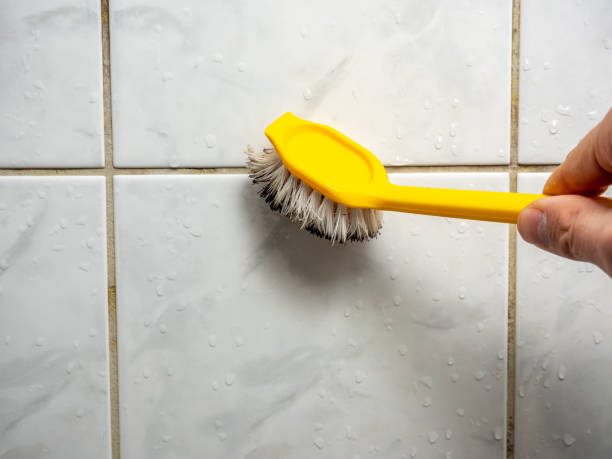 Professional Mold Removal in Farmersburg, IN