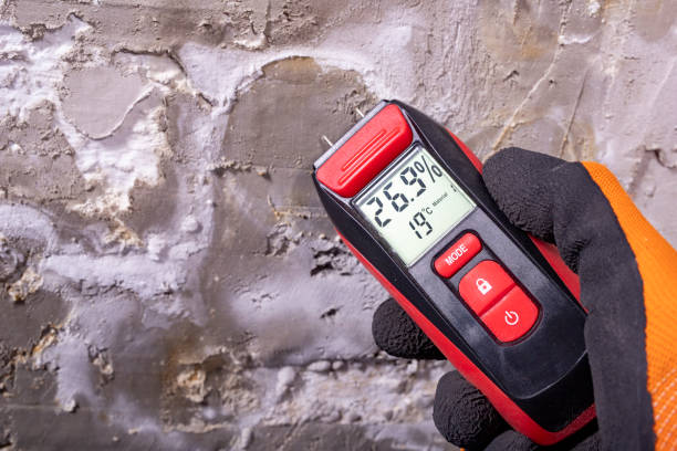 Mold Removal and Inspection in Farmersburg, IN