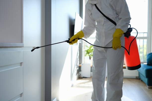 Best Mold Remediation  in Farmersburg, IN